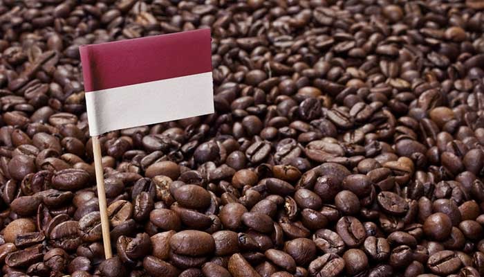 Indonesia Negara Kopi, Yakin Belum Ingin Konsumsi?