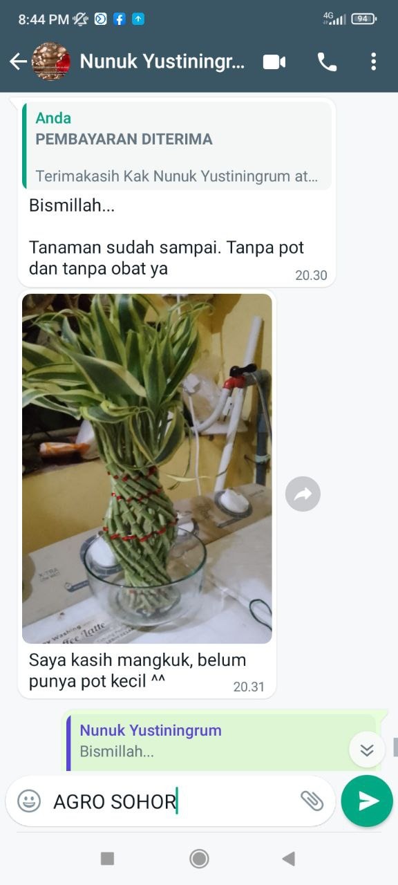 -
