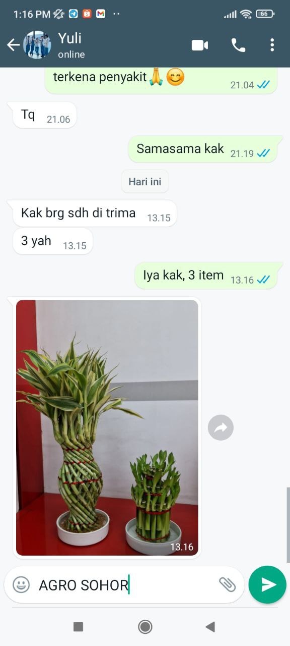 -