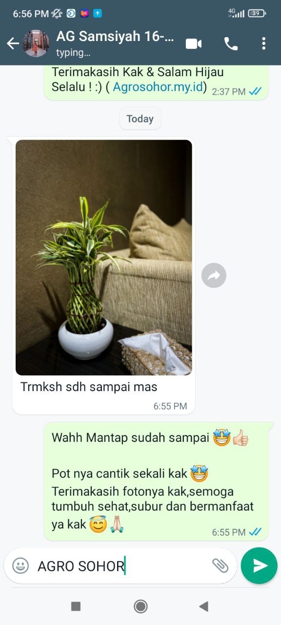 -