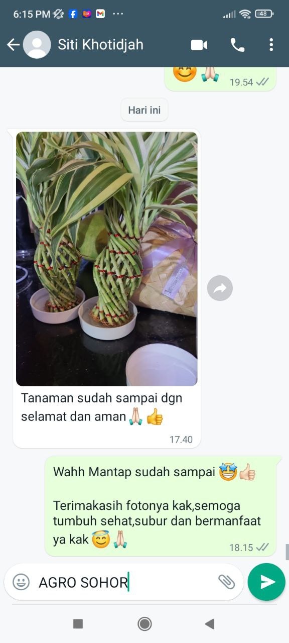 -