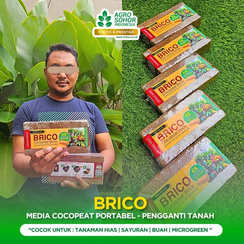 Brico Media Tanam Praktis dari Cocopeat Ekstra Pupuk