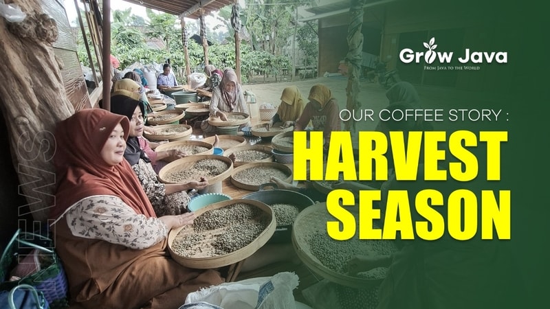 Harvest Season Begins