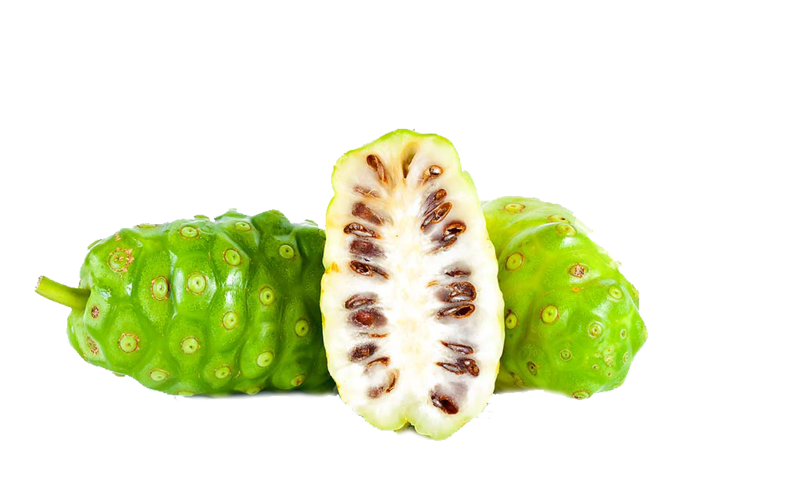 Mengkudu