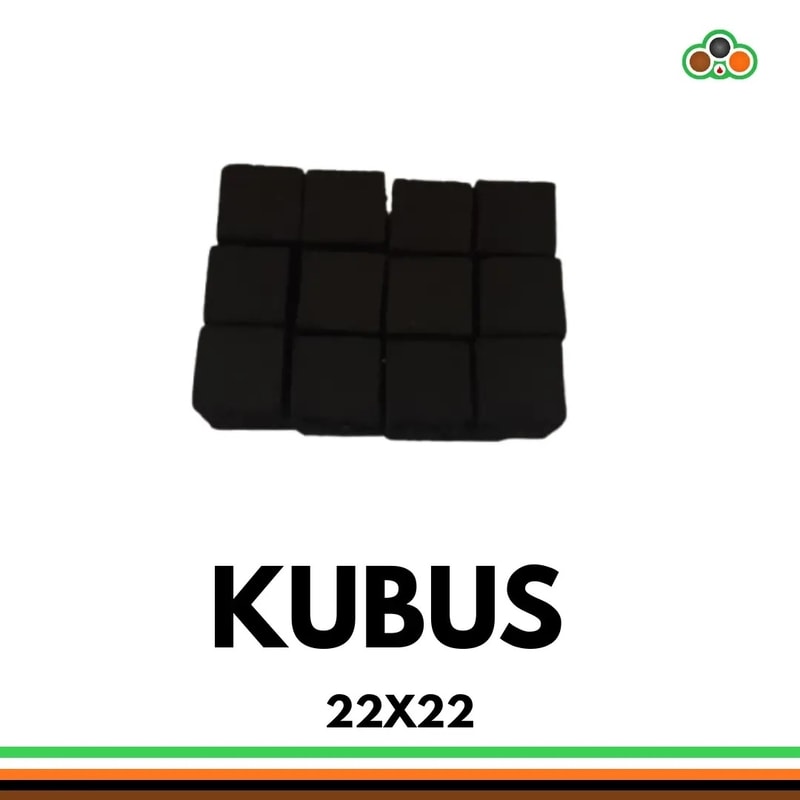 Briket tempurung kelapa berbentuk kubus 22x22