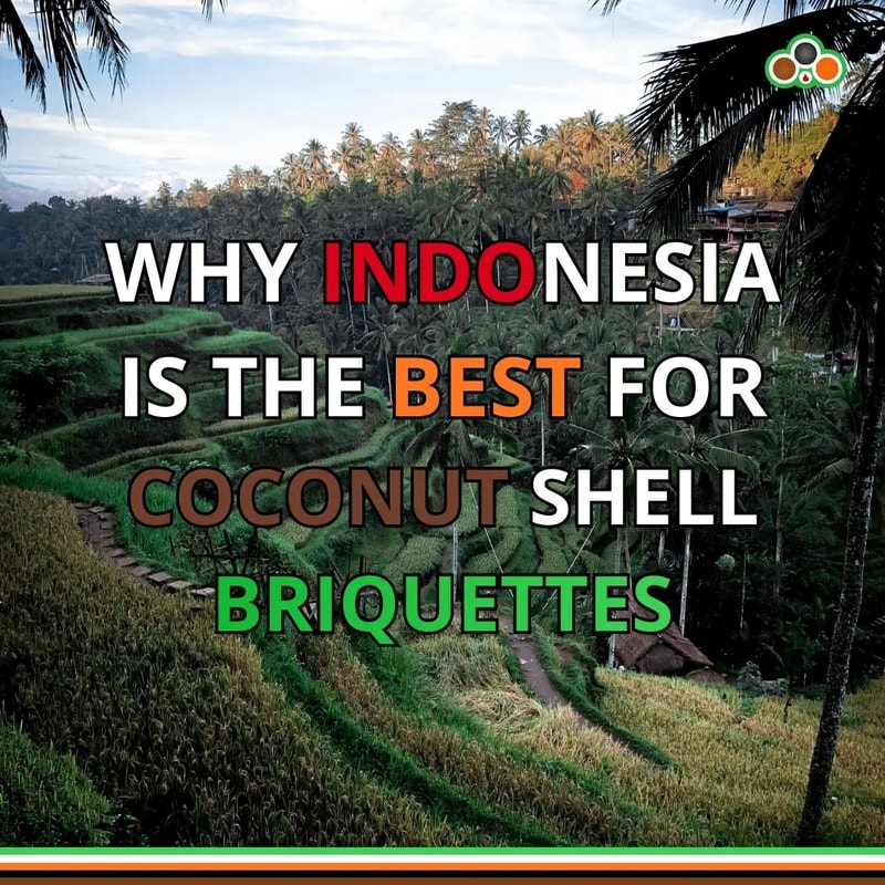 Why Indonesia is a major producer of coconut shell briquettes