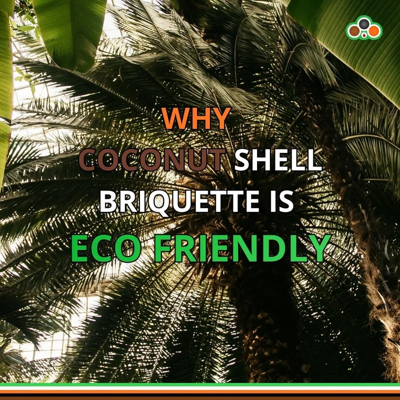 Coconut palm trees as a renewable source for coconut shell charcoal briquettes