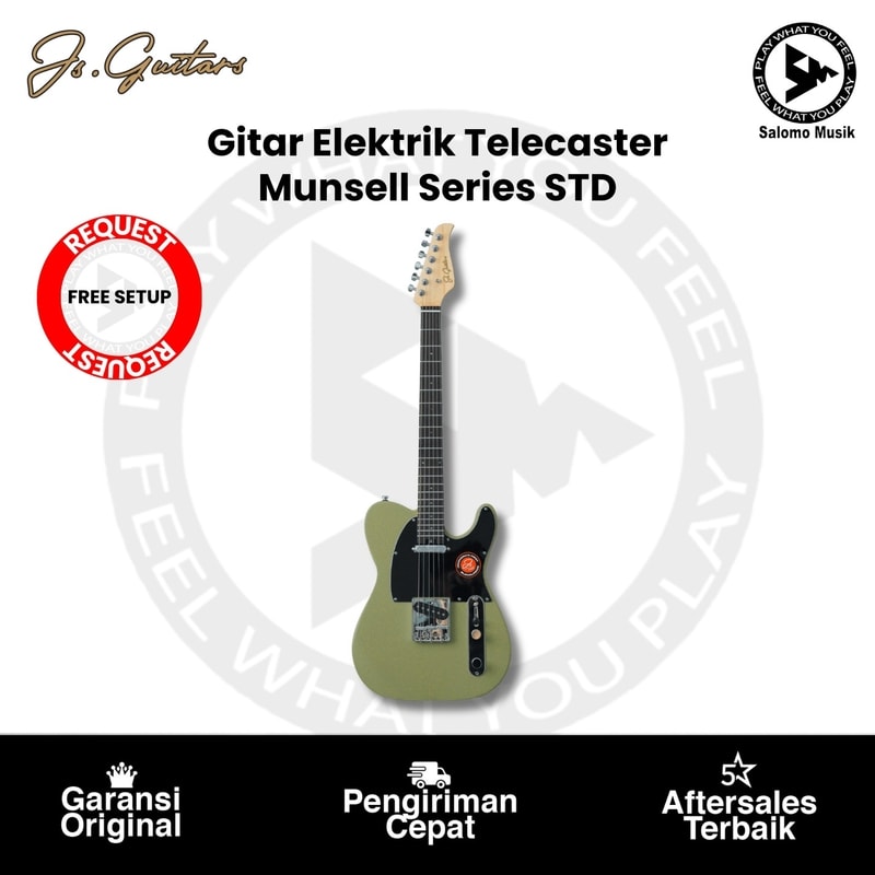 Gitar Elektrik Telecaster JS Guitars Munsell Series STD + Free Setting