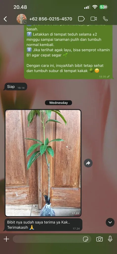 -
