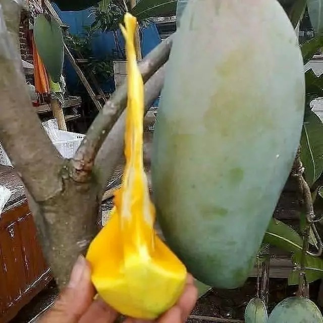 -