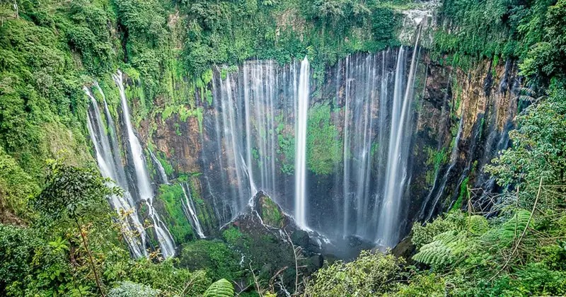 Menjelajahi Permata Tersembunyi: Wisata Pronojiwo Lumajang