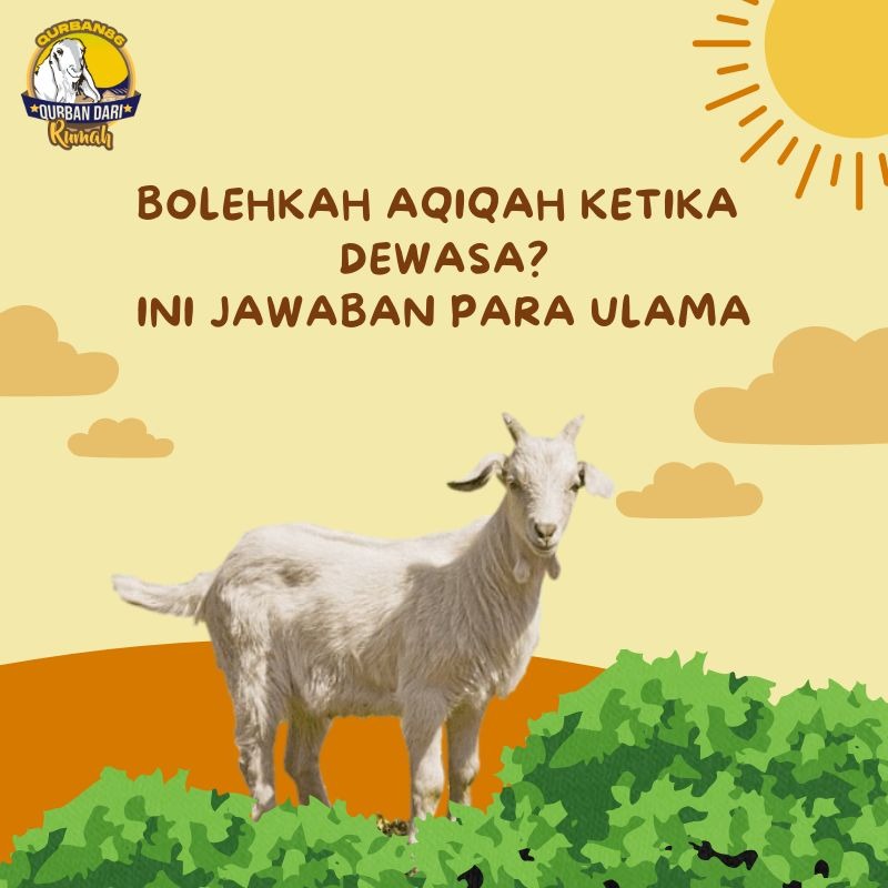 Bolehkah Aqiqah Ketika Dewasa? Ini Jawaban Para Ulama