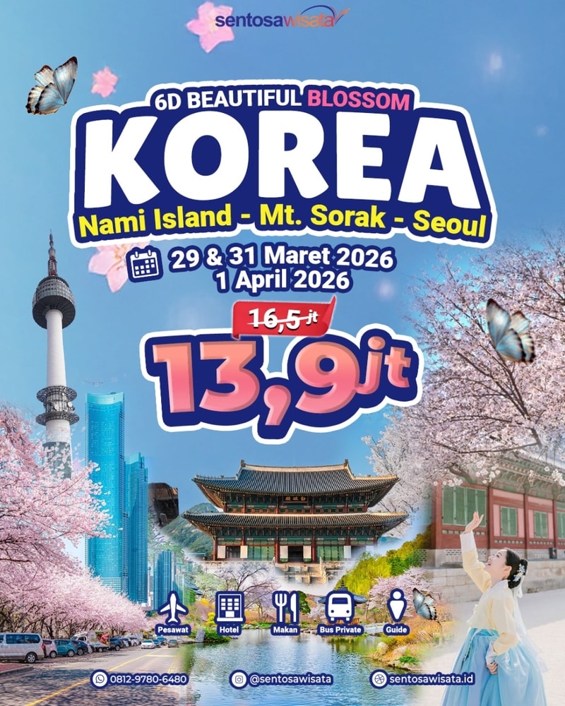 paket tour korea sakura blossom