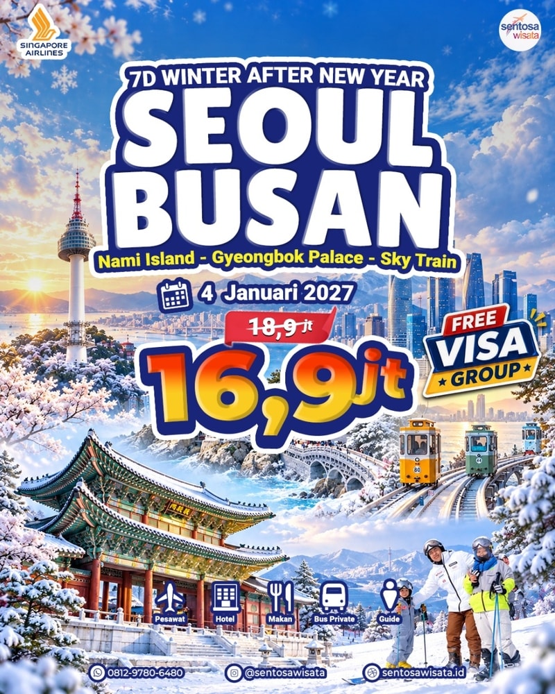 tour korea seoul busan