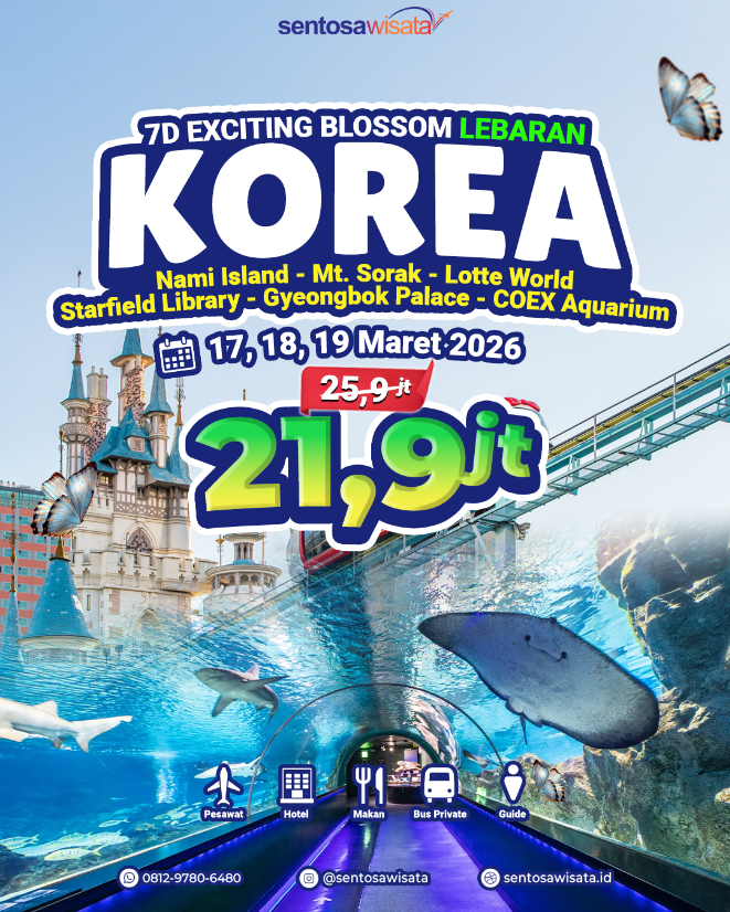tour korea lebaran