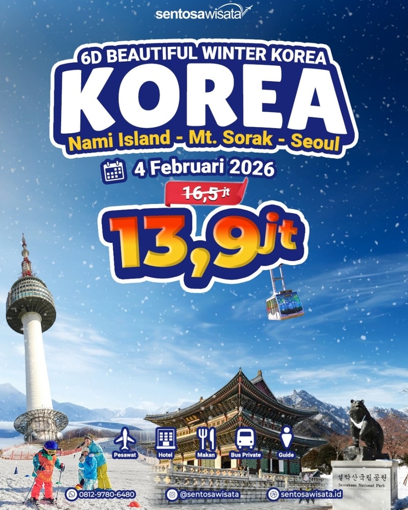 paket tour korea winter