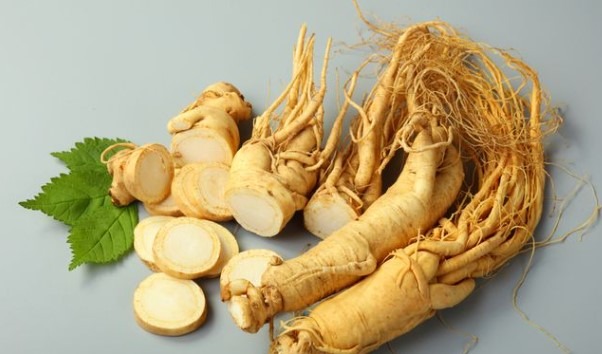 Ginseng