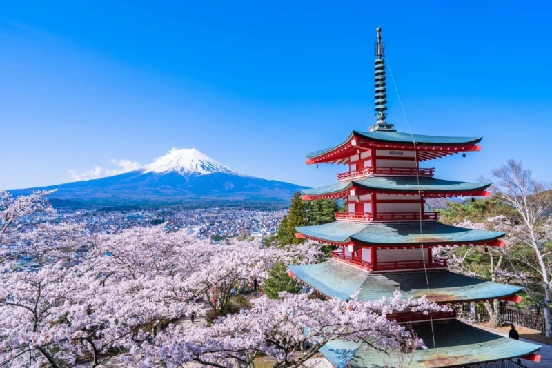 Trip Japan