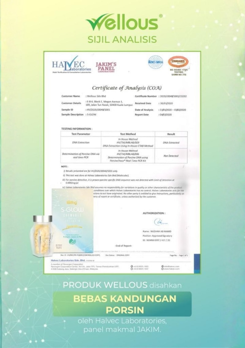 BEBAS KANDUNGAN PORSIN