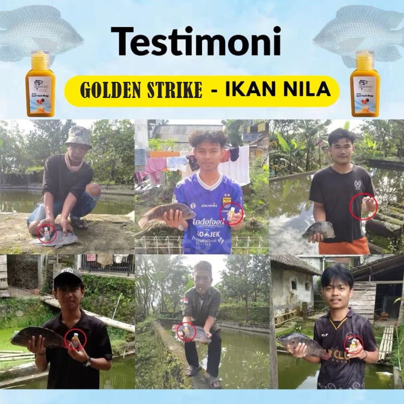 TESTI 1
