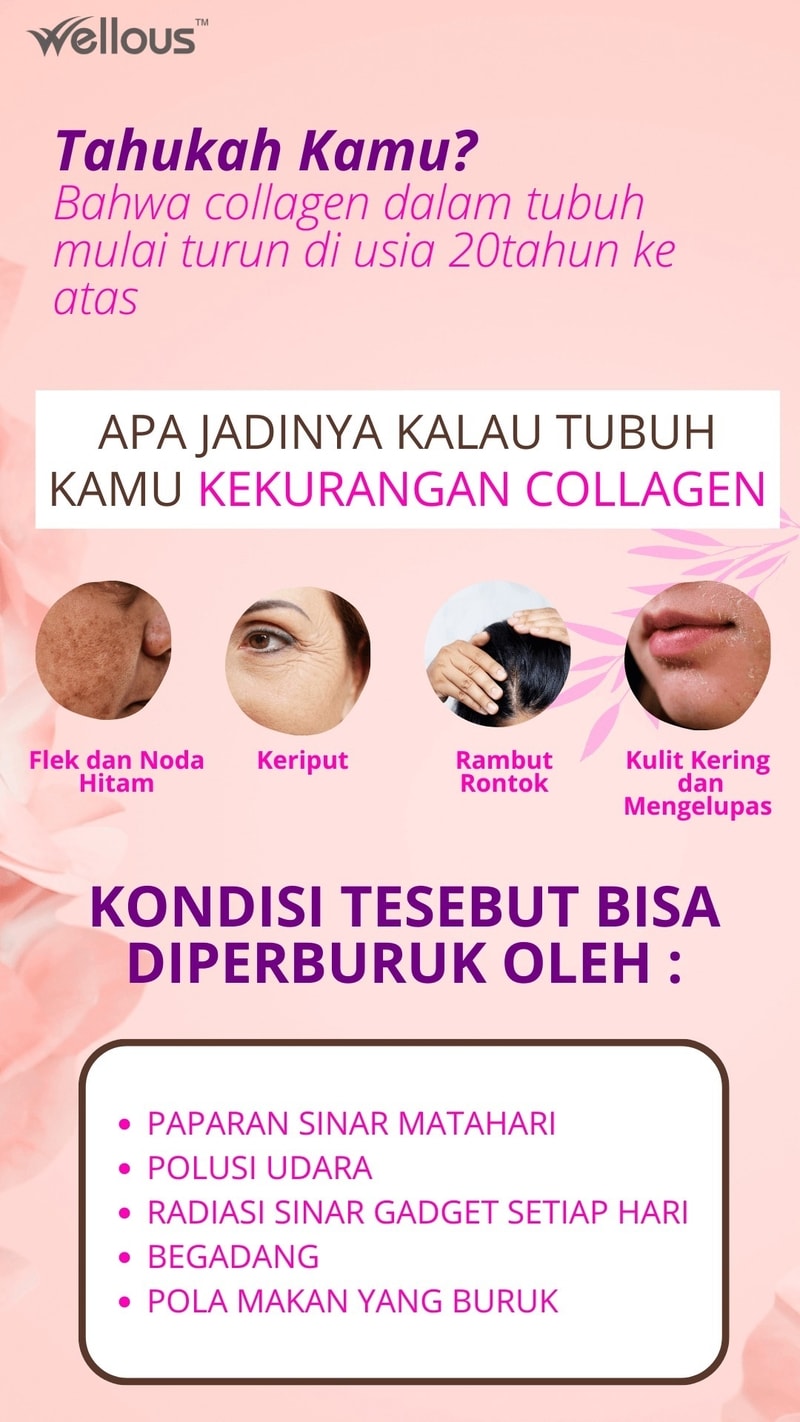 D-VINE COLLAGEN