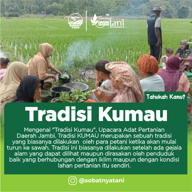 MENGENAL TRADISI KUMAU