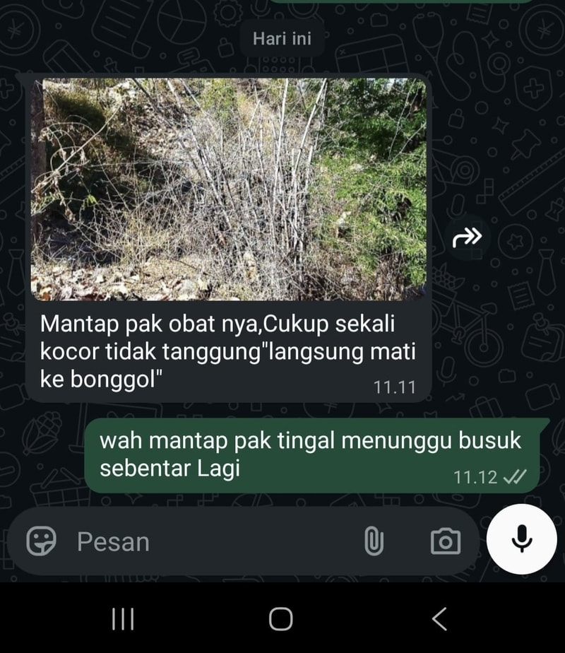 -