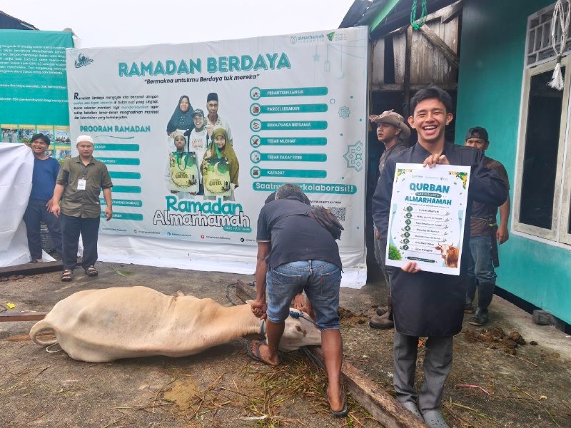 Proses penyembelihan sapi qurban
