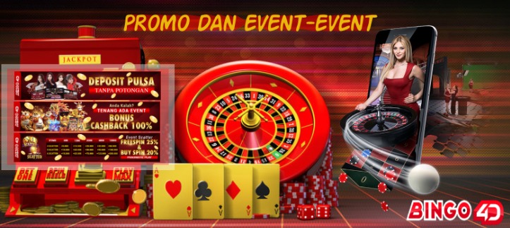 Bingo4d