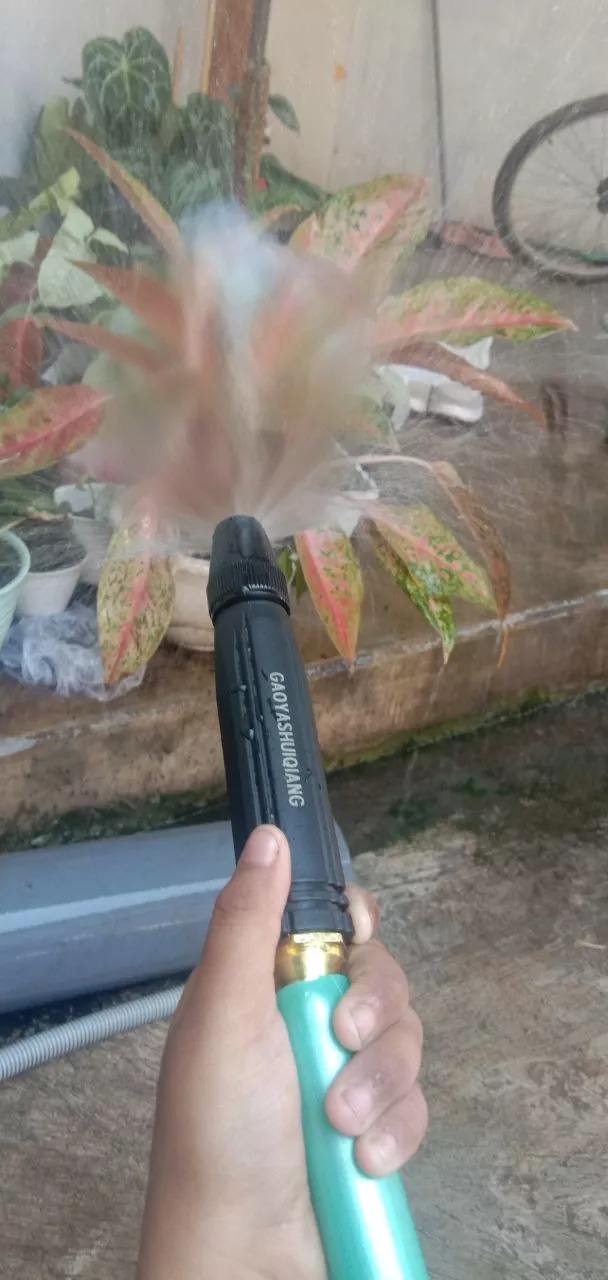 -